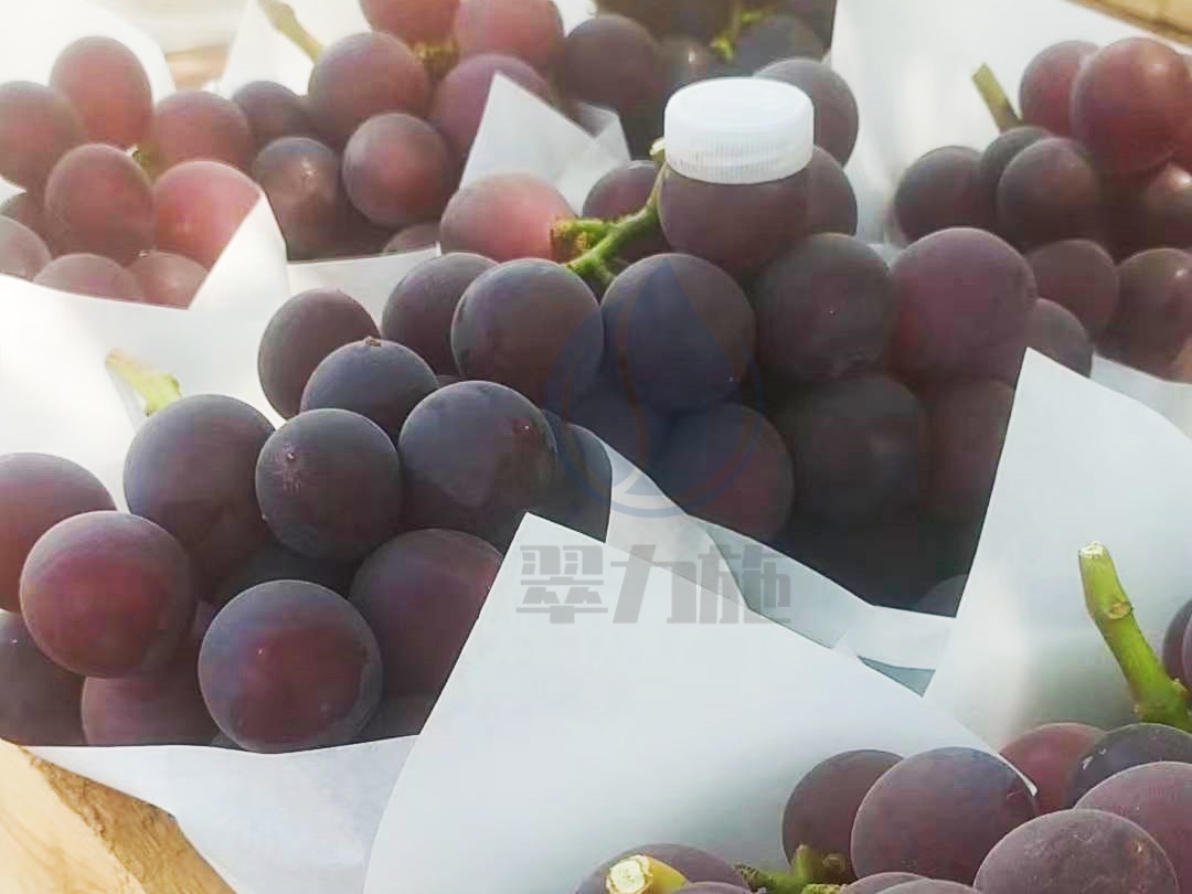 水溶肥，如何提升葡萄品质？